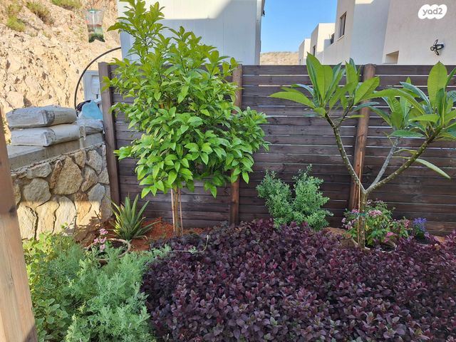 גג/ פנטהאוז, איבי נחל 1, אבני חפץ, אבני חפץ