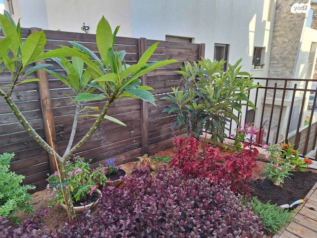 גג/ פנטהאוז, איבי נחל 1, אבני חפץ, אבני חפץ