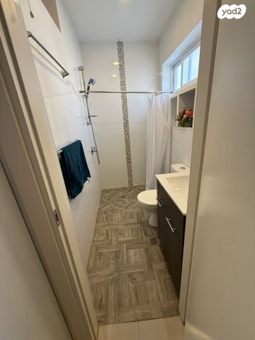 אברהם מאפו 5