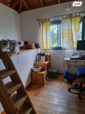 בית פרטי/ קוטג', התמר 78, עין איילה, עין איילה