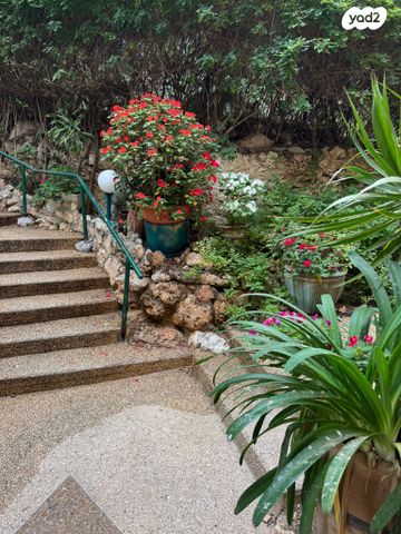 דירה, בית לחם, כרמל צרפתי, חיפה