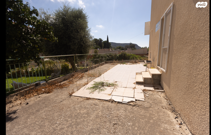 דירה, האלה, איילת הכרמל, טירת כרמל