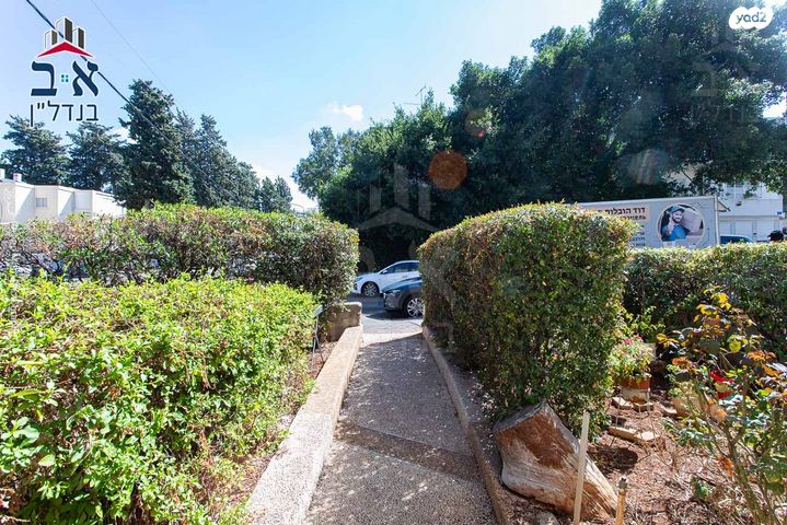 דירה, הגליל, נווה שאנן, חיפה