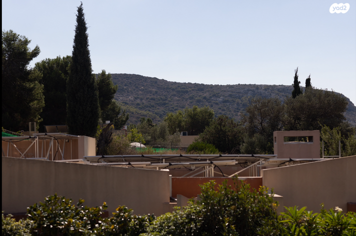 דירה, האלה, איילת הכרמל, טירת כרמל