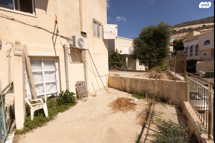 דירה, האלה, איילת הכרמל, טירת כרמל