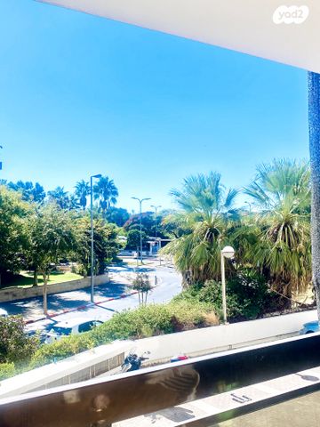 שאול אביגור 1