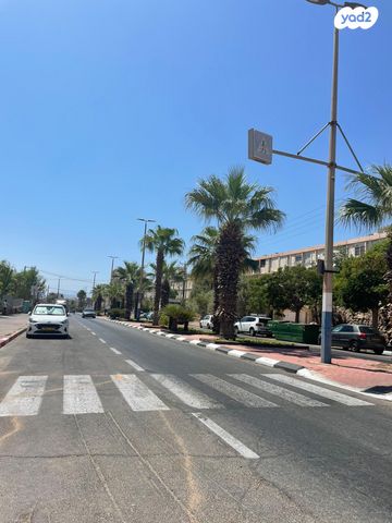 שדרות התמרים 