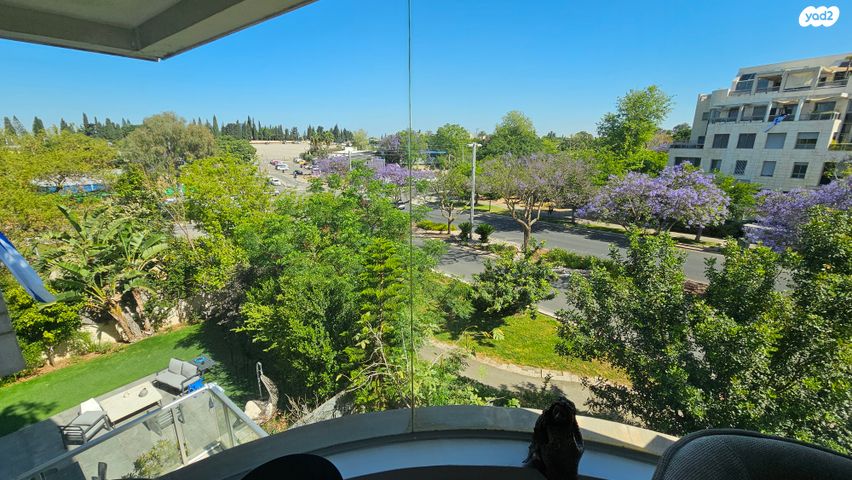 דירה, אלכסנדר סשה ארגוב, תל אביב יפו