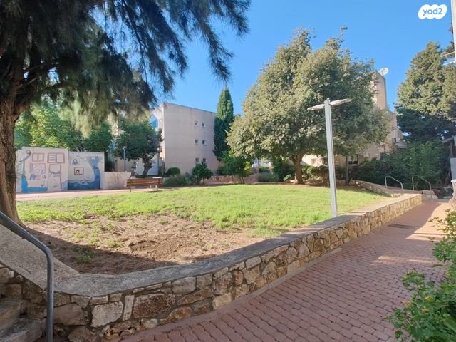 דירה, שגיא, כרמיאל