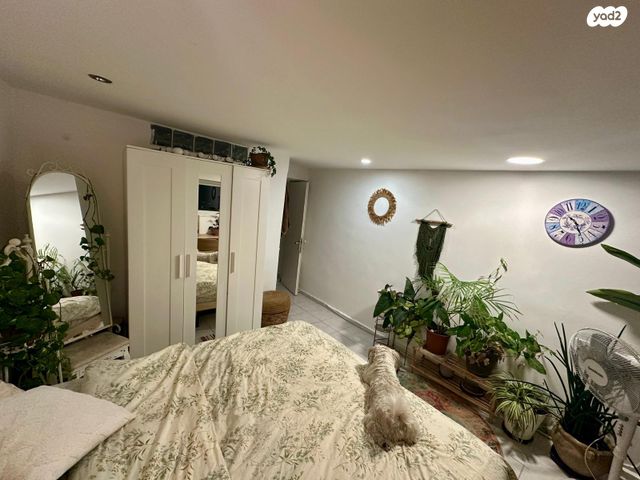 דירה, ליאון בלום 2, חיפה