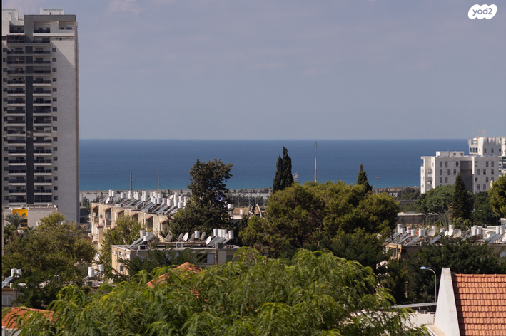 דירה, האלה, איילת הכרמל, טירת כרמל