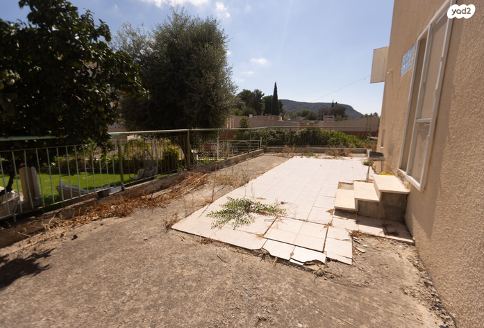 דירה, האלה, איילת הכרמל, טירת כרמל