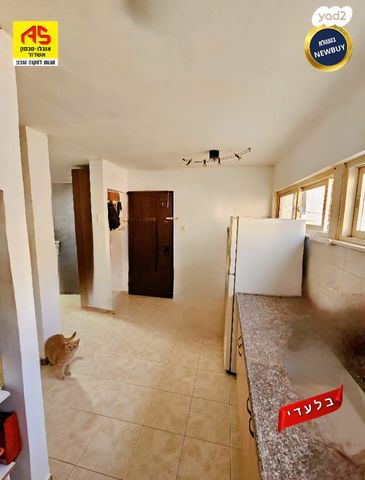 דירה, הרב קוק, אשדוד