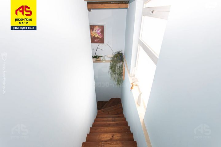 גג/ פנטהאוז, ויצ"ו, כרמליה, חיפה