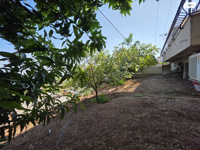 דירת גן, רקפת, בן גוריון, טבריה