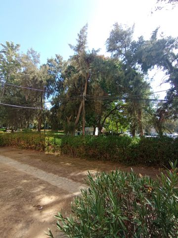 דירה, השומרון, אגרובנק, חולון