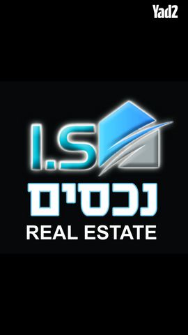 הדקל 