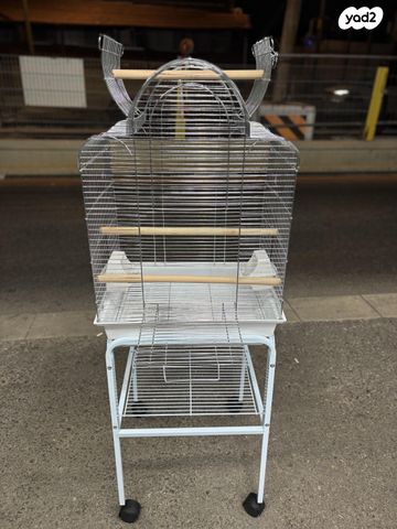 תמונת מודעה - חיות מחמד