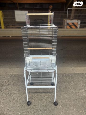 תמונת מודעה - חיות מחמד