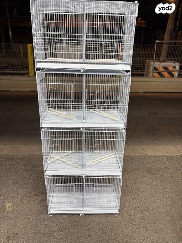 תמונת מודעה - חיות מחמד