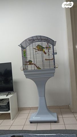 אביזרים | כלוב האכלת יד