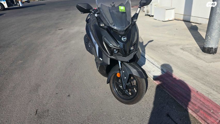 סאן יאנג קרוזים 300 אלפא