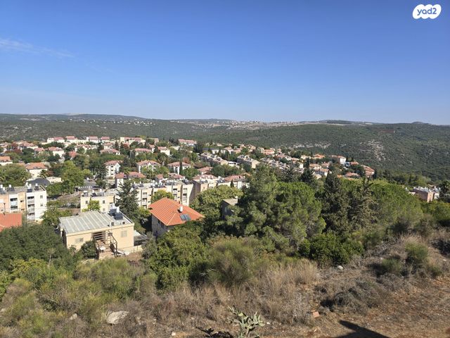 מעלה הבנים 304