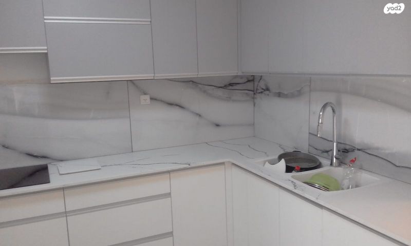 הרב דוד זריצקי 8