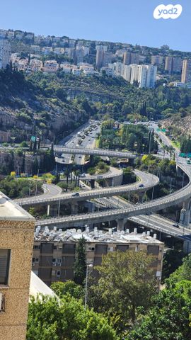 יעקב קליבנוב 28