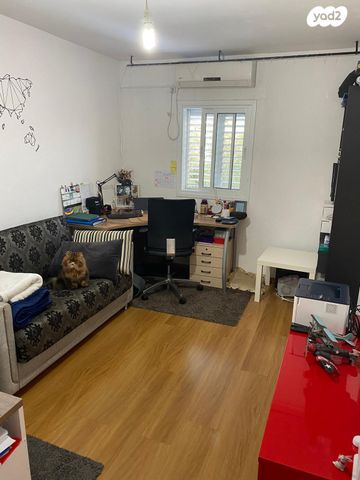 פנחס ספיר 15