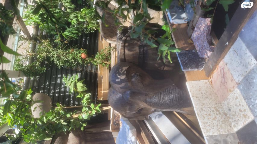 יחידת דיור, ההדרים 9, שכונת ותיקים, אבן יהודה