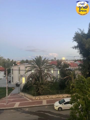 דירה, הרב שפירא, ברית כהונה, נתיבות