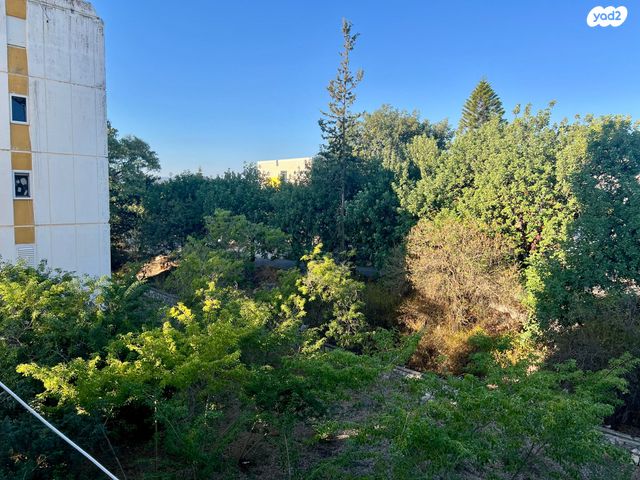 דירה, מורד הגיא, אשכול, כרמיאל