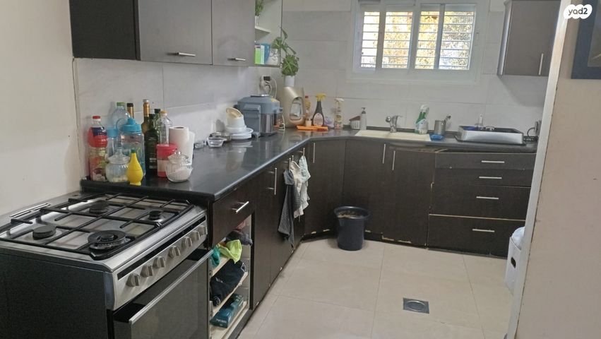 בית פרטי/ קוטג', רימונים