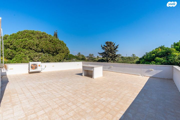 בית פרטי/ קוטג', נרקיס, הפרחים, קיסריה