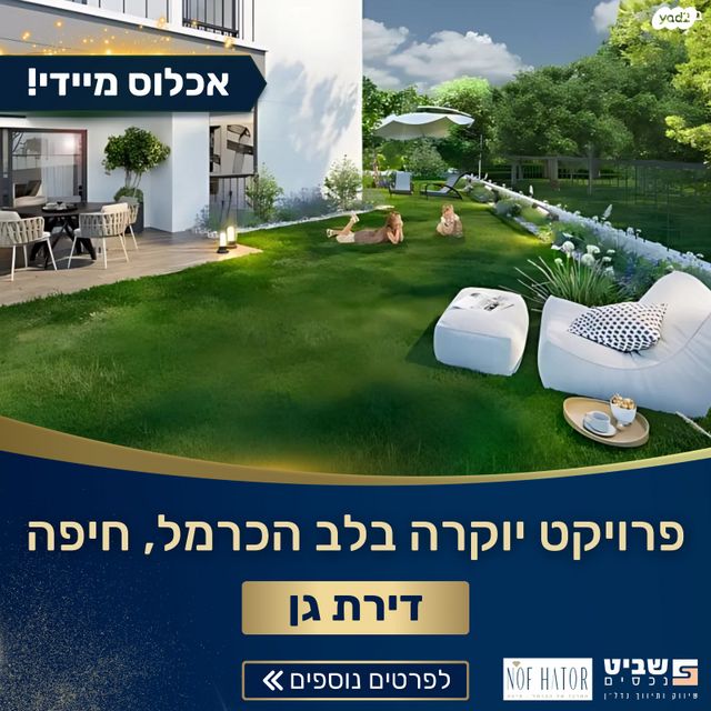 התור 
