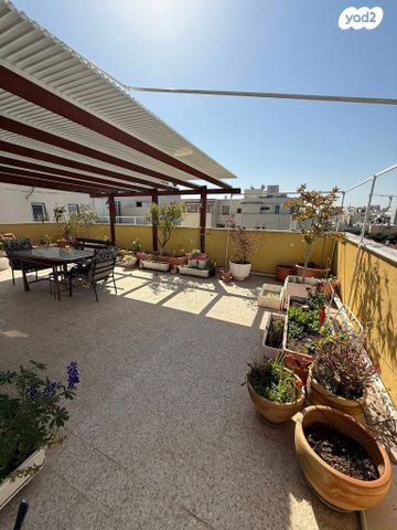 נווה דוד רמז