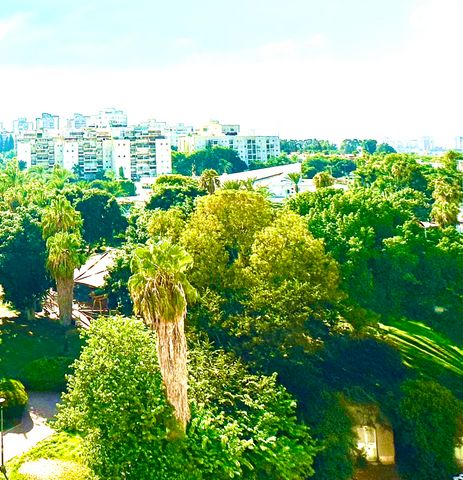 אליעזר קשאני 