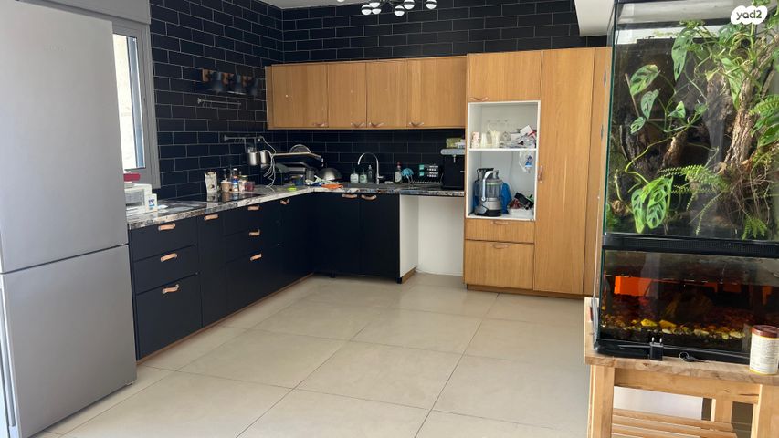 החשמונאים 11