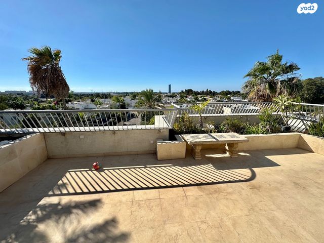 דוד בן גוריון 