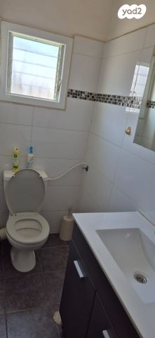 דירה, קרל נטר, אברמוביץ', ראשון לציון