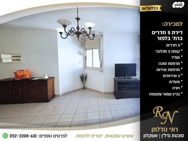 דירה, אשקלון