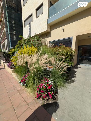 דירה, חד נס, נגבה, רמת גן