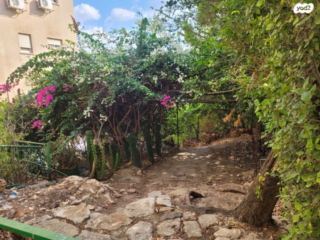 דירת גן, יחיעם, כרמיאל