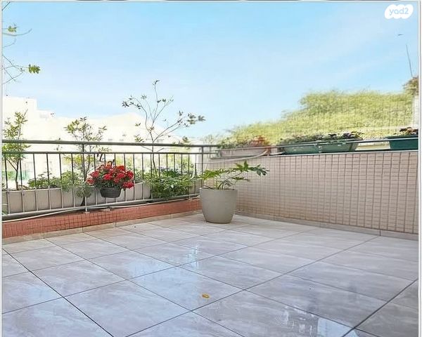 דירה, היסמין, הפרחים, כפר סבא