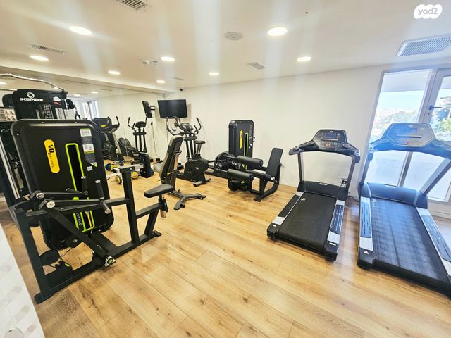 דירה, הדר המושבות החדשה / אם המושבות החדשה, פתח תקווה