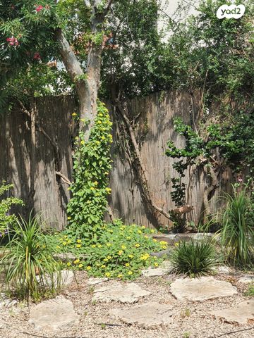 בית פרטי/ קוטג', הארז, נווה סביון, אור יהודה