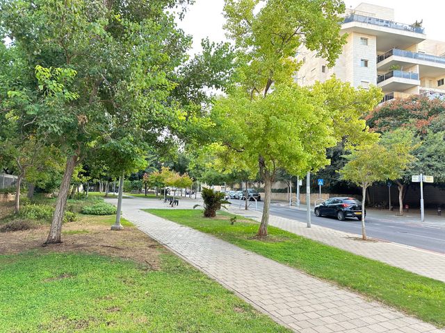 דירה, הזמר העברי, כפר סבא