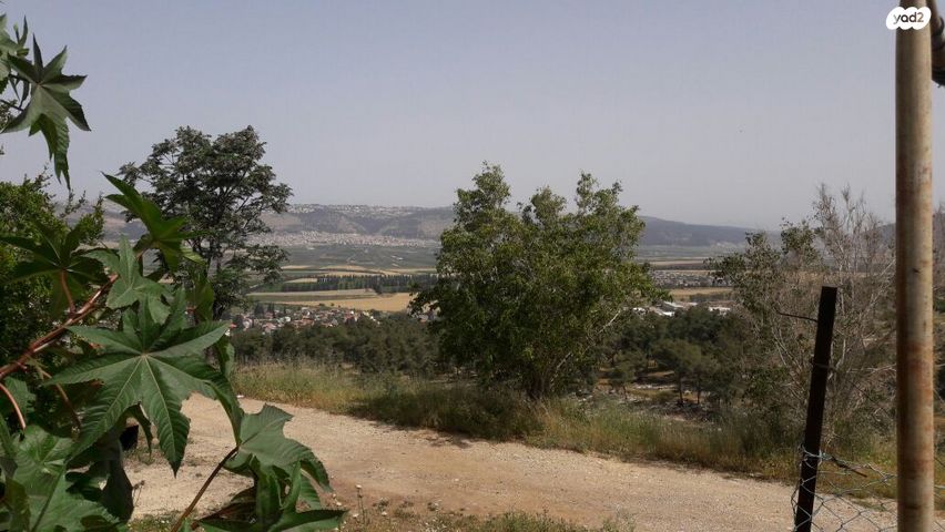 דירת גן, יאנוש קורצ'אק, גבעת המורה, עפולה