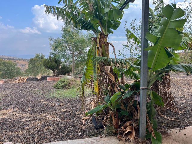 דו משפחתי, חוקוק